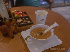 -梵猫·新养生(湛江鼎盛店)