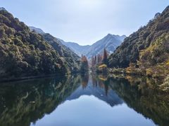 -宁海森林温泉