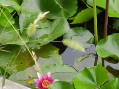 -北京小汤山医院体检中心