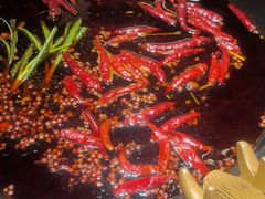 -成渝龙火锅(都江堰店)