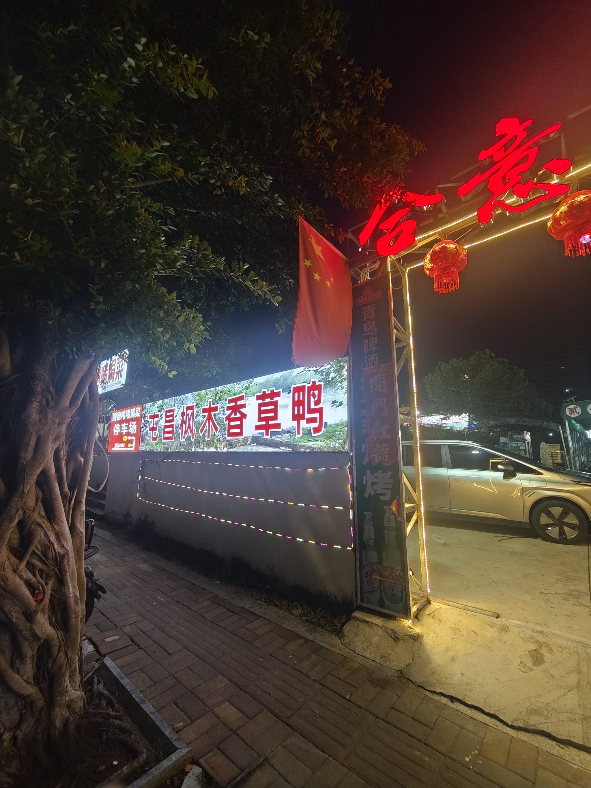 屯昌枫木香草鸭,今晚的美食之旅!