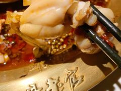 -新哥老官·畅吃123·美蛙世界(苏宁广场店)