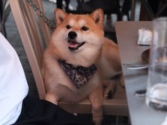 -Ocean's Table 欧舍