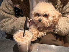 -J Create城市露营咖啡·简餐·宠物(上海动物园店)