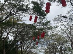 -顺峰山公园