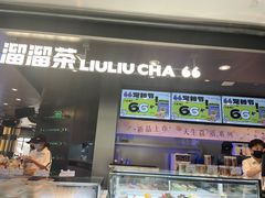 -TD66高山铁皮石斛养生茶饮