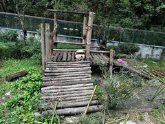 -黔灵山公园
