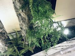 -小厨娘淮扬菜(六合欢乐港店)