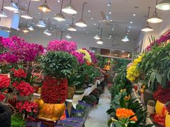 -双季花艺园艺市场(浦东店)