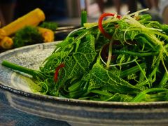 丝瓜苗-后海16号·北京私房菜