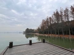 -长广溪湿地公园