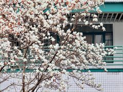 -浙江大学(紫金港校区)