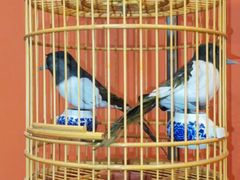 -了凡国风主题茶馆·咖啡(武侯祠锦里店)