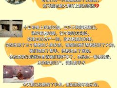 -特一安24小时宠物医院·骨科·中兽医