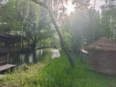 -溱湖国家湿地公园