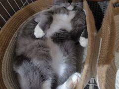 -奈雪的茶(时代天街店)