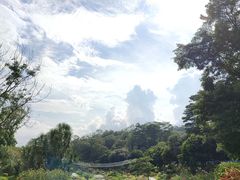 -东莞植物园