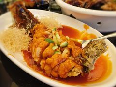 -常州武进九洲喜来登酒店