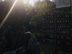 -菊花台公园