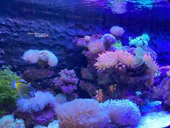 -长沙海底世界