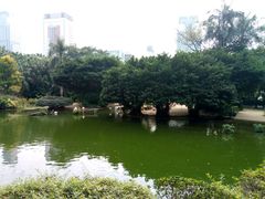 -九龙公园