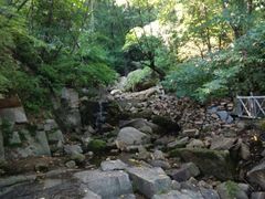 -三亚湾红树林度假世界(木棉酒店)