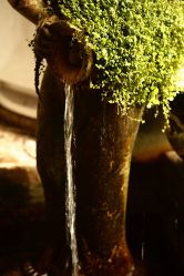 店内环境-老黑造型