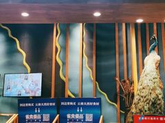 -雀舞·私食(凯德店)