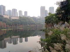 -重庆彩云湖湿地公园