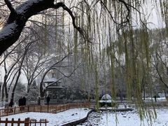 -玲珑塔公园