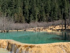 -黄龙山原始森林景区