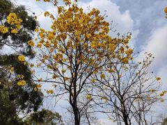 -中国移动南方基地