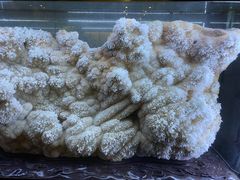 -湖南省地质博物馆