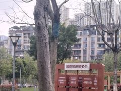 -沐仙湖湿地公园