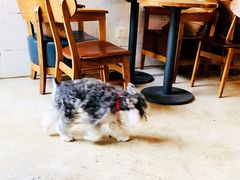 -HAPPEN(江川东路店)