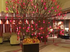 -上海国丰酒店