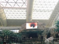 -杭州开元森泊度假乐园