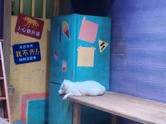 -上海海昌海洋公园-冰山北极馆