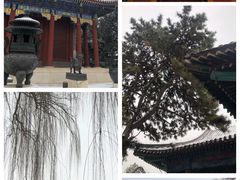 -颐和园