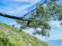 -鹫峰国家森林公园