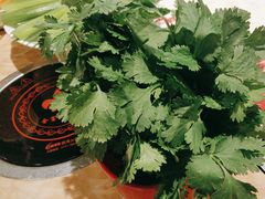 -清真军邺·金富苑肥牛(石坡街旗舰店)