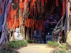 -开元盛世广场(新华北路店)