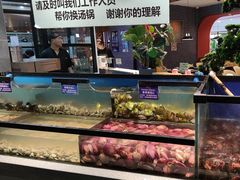 -遇上西雅图多融合海鲜自助餐厅(中房金谊广场店)