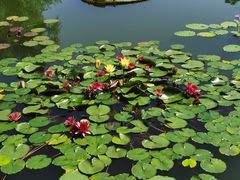 -国家植物园南园