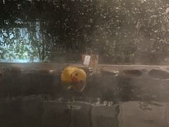 -北京益泉花园酒店