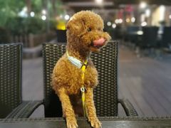 -蘭·日本料理铁板烧(碧云路店)