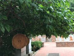 -大学路8号炸串(大学路十四号院店)