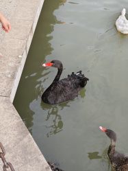 -玄武湖景区-情侣园游乐场