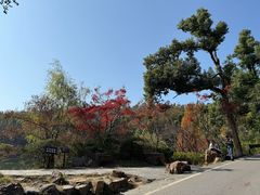 -润泽天·湘味家宴(岳麓山店)