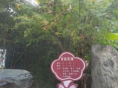 -大理地热国